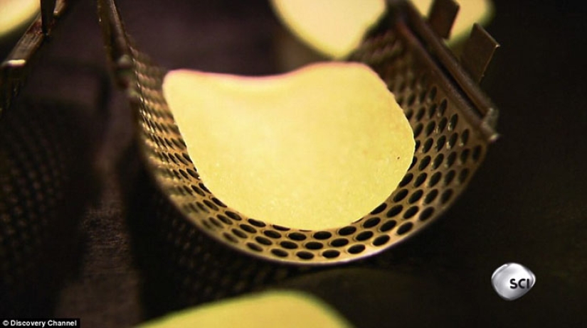 From what, from what, from what are... Pringles chips made of