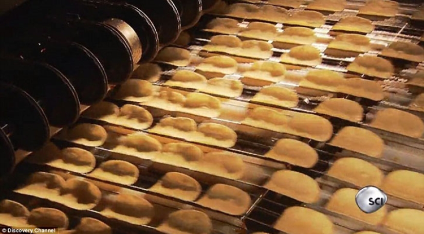 From what, from what, from what are... Pringles chips made of