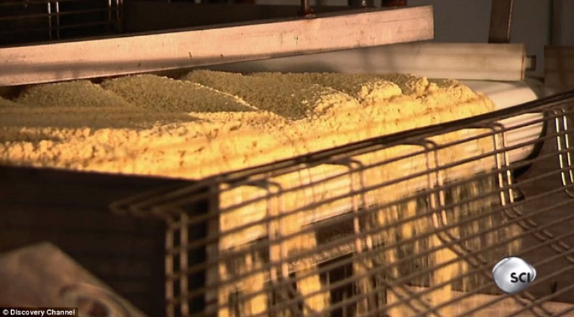 From what, from what, from what are... Pringles chips made of