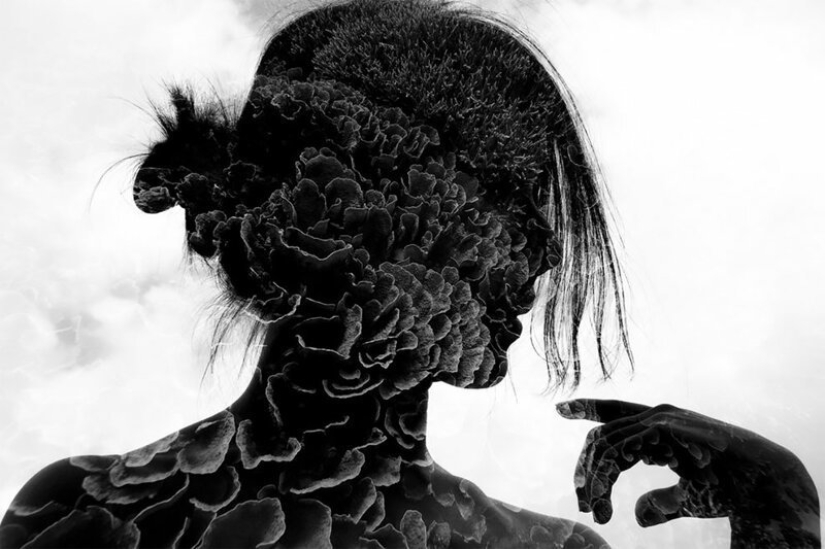 Full immersion: the best photos of the underwater world 2020