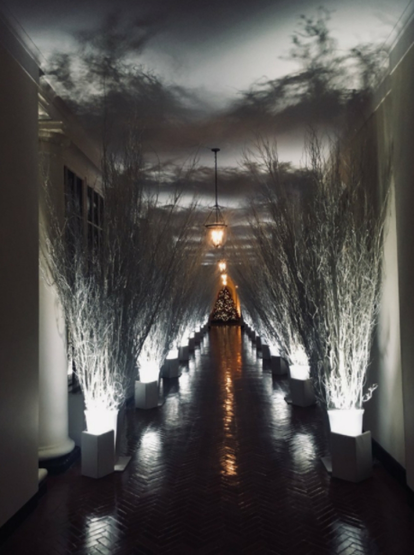 "Funeral muy extraño": las redes sociales parodian la decoración festiva de la Casa Blanca de Melania Trump