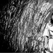 "Funeral muy extraño": las redes sociales parodian la decoración festiva de la Casa Blanca de Melania Trump