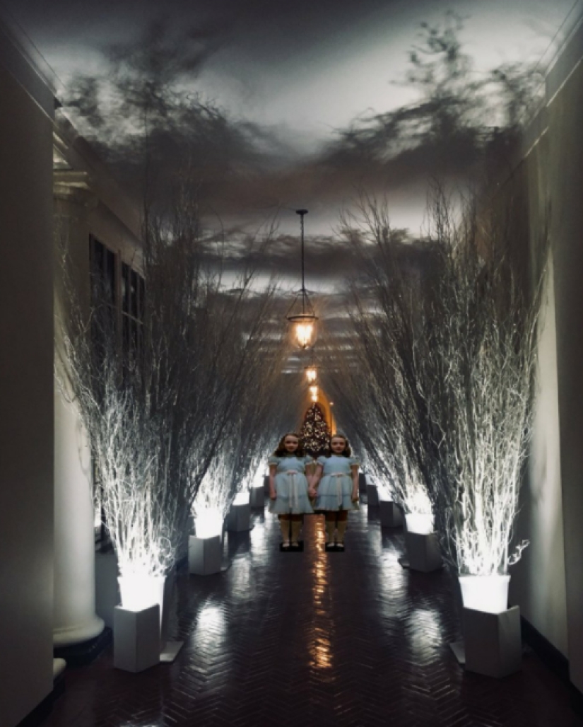 "Funeral muy extraño": las redes sociales parodian la decoración festiva de la Casa Blanca de Melania Trump