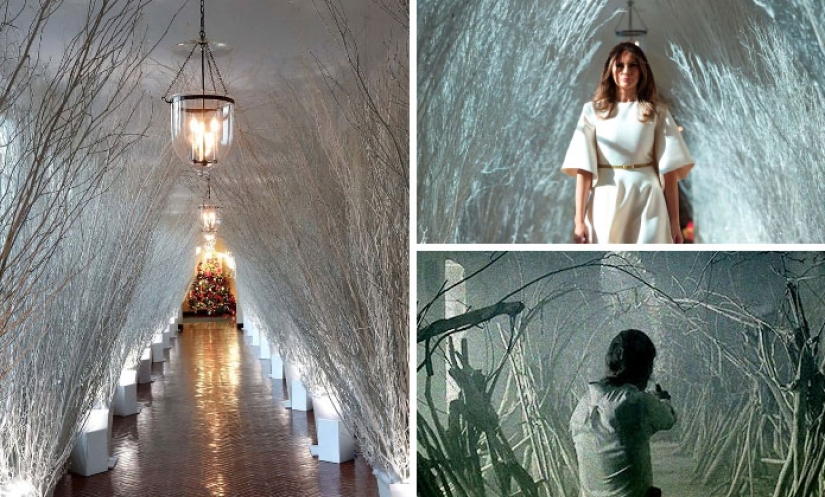 "Funeral muy extraño": las redes sociales parodian la decoración festiva de la Casa Blanca de Melania Trump