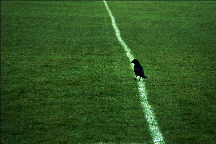 Funny street photos by Nils Jorgensen Funny street photos by Nils Jorgensen