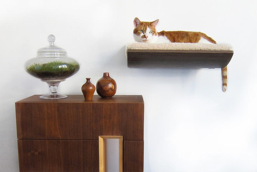 Furniture solutions for animal lovers
