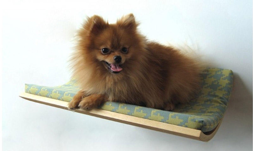 Furniture solutions for animal lovers