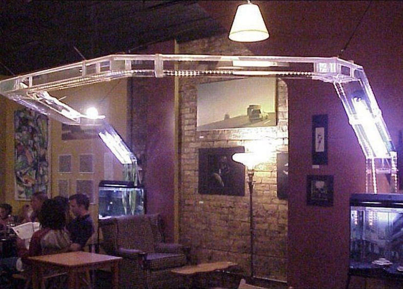 Furniture solutions for animal lovers