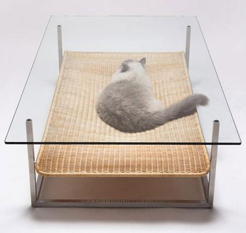 Furniture solutions for animal lovers
