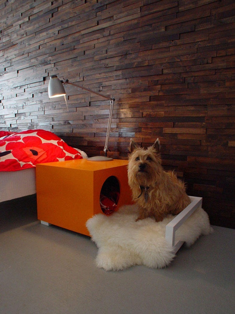 Furniture solutions for animal lovers
