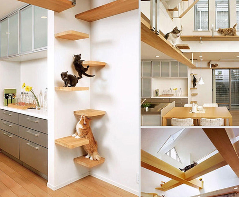 Furniture solutions for animal lovers