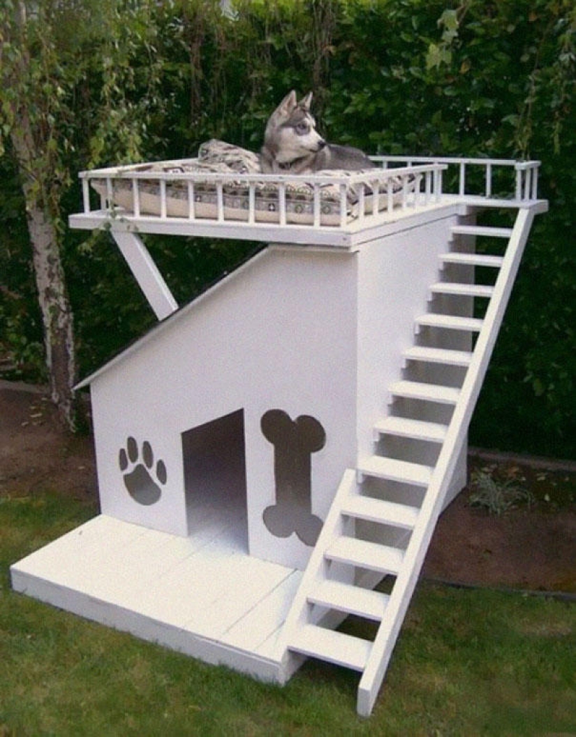 Furniture solutions for animal lovers