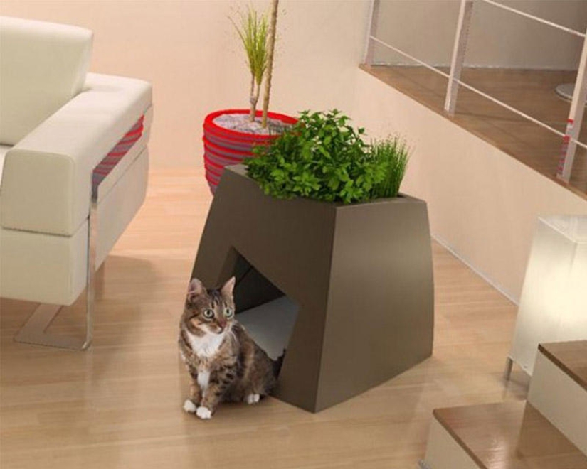 Furniture solutions for animal lovers