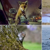Ganadores del Concurso de Fotografía de Vida Silvestre de Essex