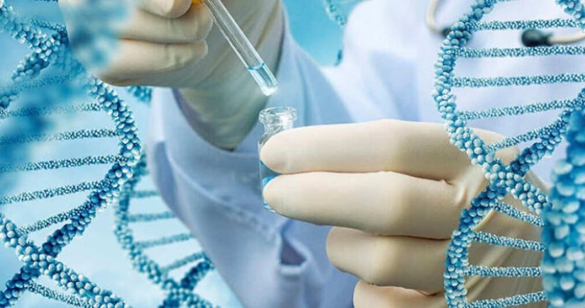 Genetic paparazzi: scientists fear the appearance of DNA hunters Genetic paparazzi: scientists fear the appearance of DNA hunters