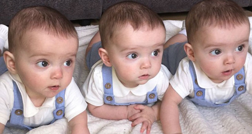 Genetic photocopy: British triplets who are distinguished only by their own mother Genetic photocopy: British triplets who are distinguished only by their own mother