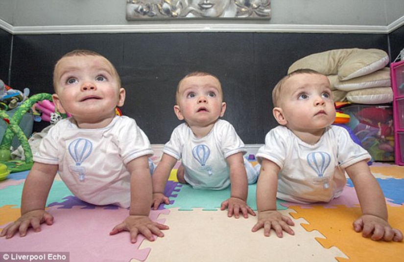 Genetic photocopy: British triplets who are distinguished only by their own mother Genetic photocopy: British triplets who are distinguished only by their own mother