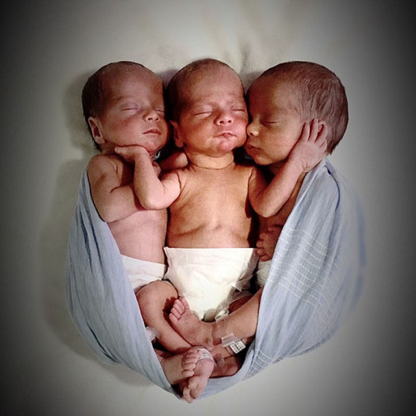 Genetic photocopy: British triplets who are distinguished only by their own mother Genetic photocopy: British triplets who are distinguished only by their own mother