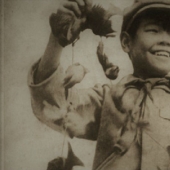 Genocidio de aves: cómo la naturaleza se vengó de los chinos por el exterminio de gorriones