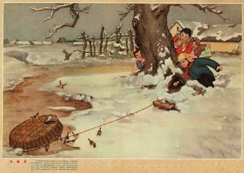 Genocidio de aves: cómo la naturaleza se vengó de los chinos por el exterminio de gorriones