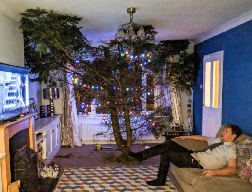 Gigantoman Dad: a Christmas tree in the house or a house on the Christmas tree Gigantoman Dad: a Christmas tree in the house or a house on the Christmas tree