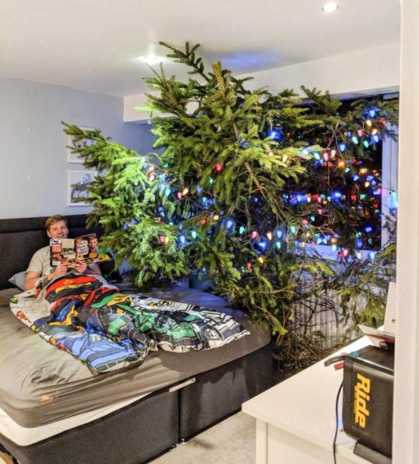 Gigantoman Dad: a Christmas tree in the house or a house on the Christmas tree Gigantoman Dad: a Christmas tree in the house or a house on the Christmas tree