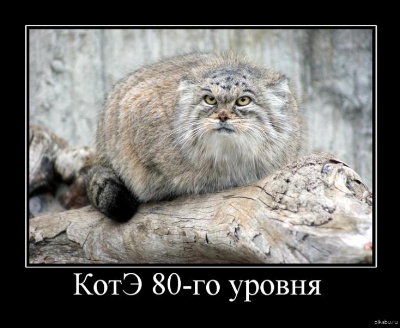 Give me back my 2008: was it really 10 years ago? Give me back my 2008: was it really 10 years ago?