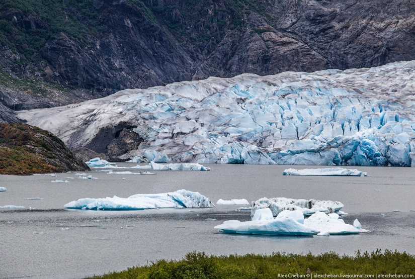 Glaciares de Alaska