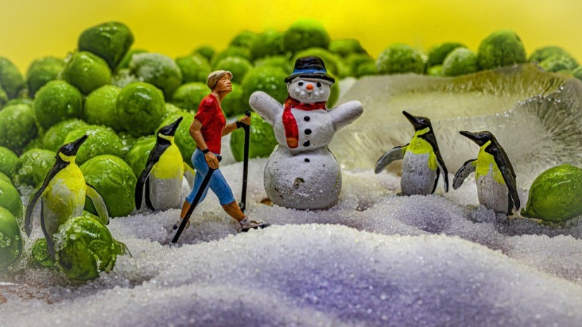 Glasgow artist inspired by what she finds in the fridge Glasgow artist inspired by what she finds in the fridge