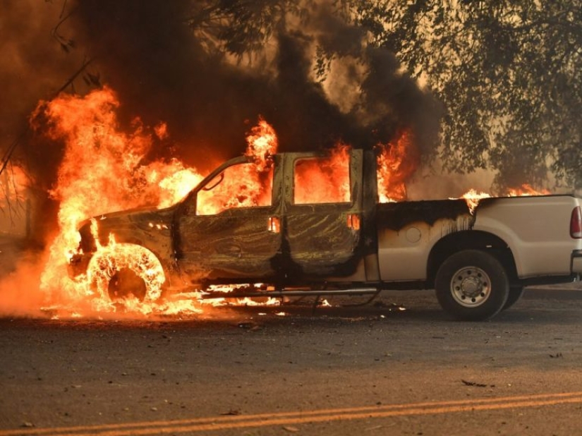 Global warming you can see. 8 signs