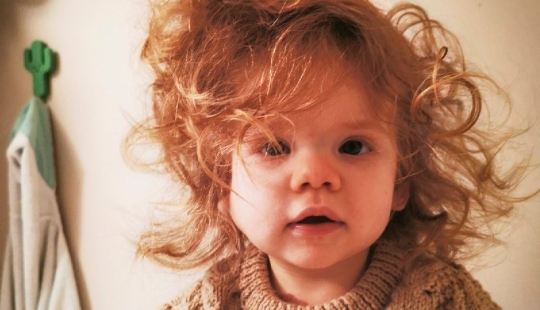 Goldilocks: a girl with a luxurious shock of hair touches users of social networks Goldilocks: a girl with a luxurious shock of hair touches users of social networks