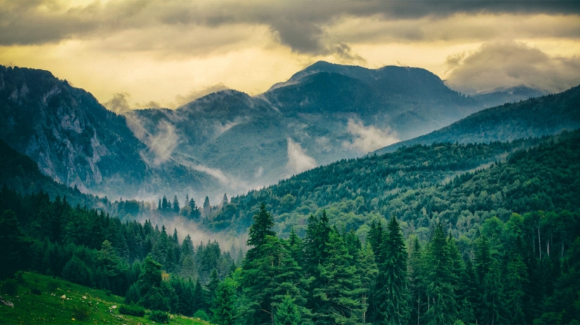 Gorgeous Romania Gorgeous Romania