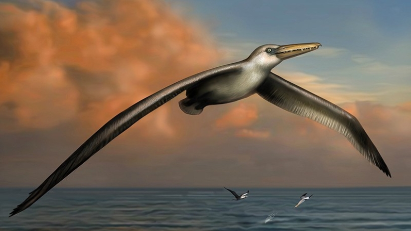 ¡Gracias a Dios que se extinguieron! 25 terribles criaturas que una vez habitaron la Tierra ¡Gracias a Dios que se extinguieron! 25 terribles criaturas que una vez habitaron la Tierra