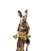 Guinness World Records 2022