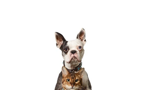 Guinness World Records 2022