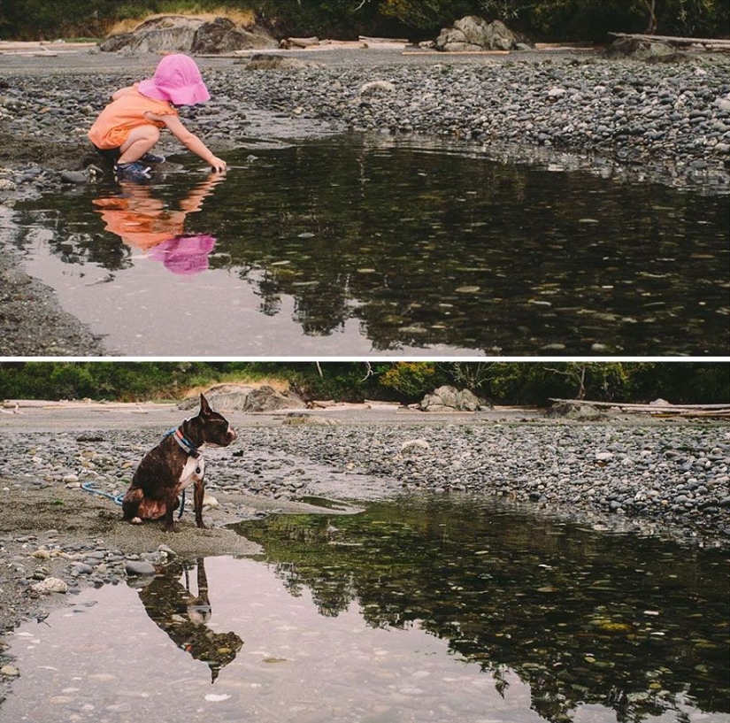Happy together — a photo story about the growing up of a girl and a puppy