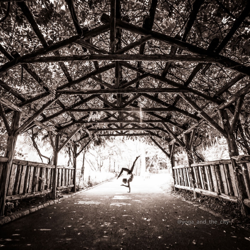 Harmony in the middle of the metropolis: yoga in the big city Harmony in the middle of the metropolis: yoga in the big city