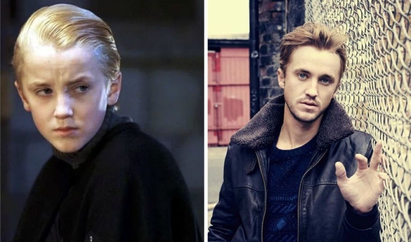 "Harry Potter" 14 años después