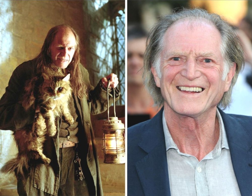 "Harry Potter" 14 years later