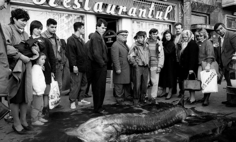 Harsh Romania of the 90s, where flocks of sheep blocked busy streets