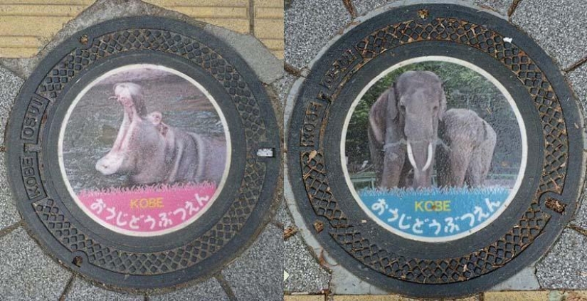 Hatches from different countries of the world