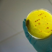 Hechos bastante inquietantes sobre el mundo.