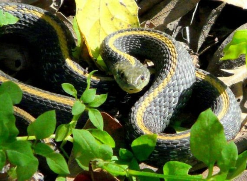 Hechos bastante inquietantes sobre el mundo. Hechos bastante inquietantes sobre el mundo.