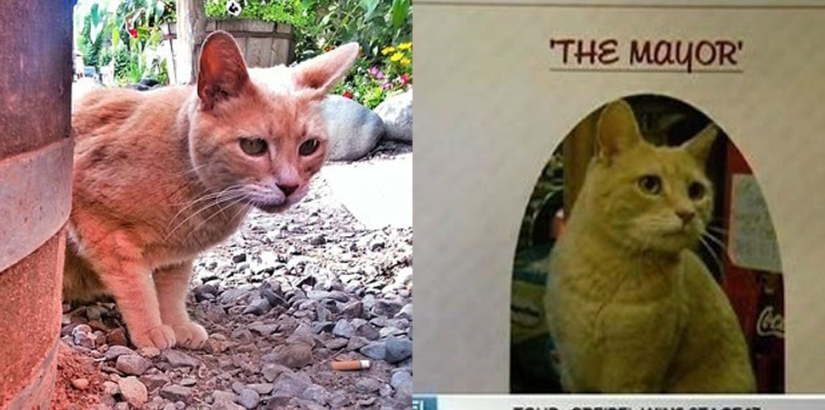 Hechos extraños sobre los Estados Unidos que son difíciles de creer Hechos extraños sobre los Estados Unidos que son difíciles de creer