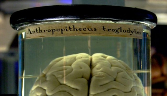 Hechos inquietantes para "arruinarte el día"