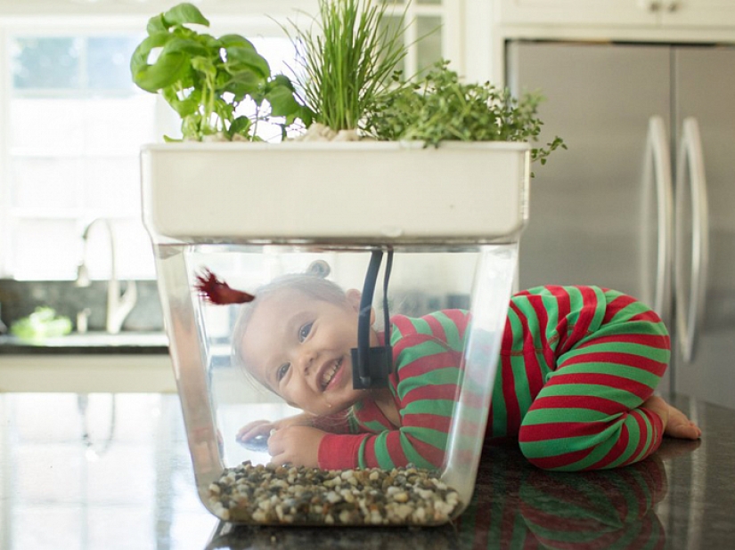 Hemos creado regalos para hombres de todas las generaciones para ti Hemos creado regalos para hombres de todas las generaciones para ti