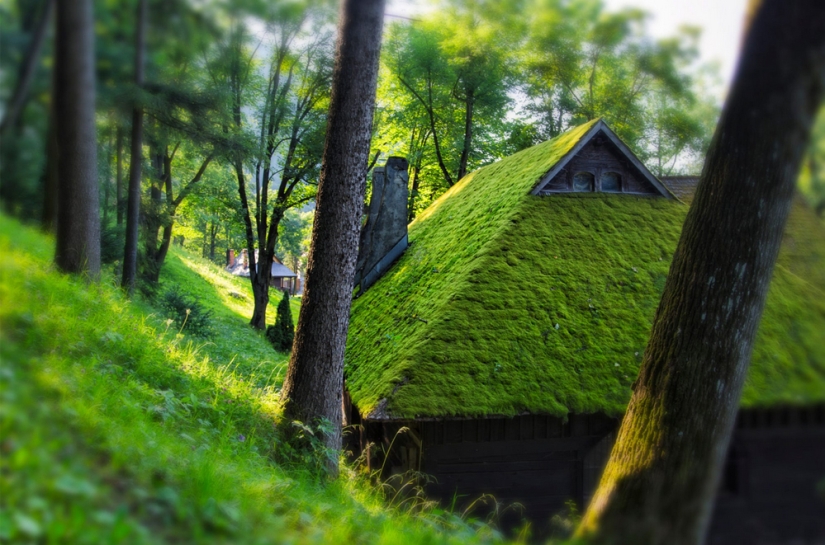 Hermosa Rumania Hermosa Rumania