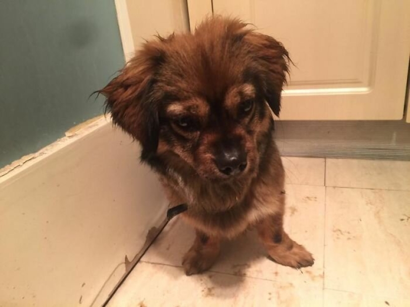 Heroes big and small: 30 examples of how people help others in a pandemic