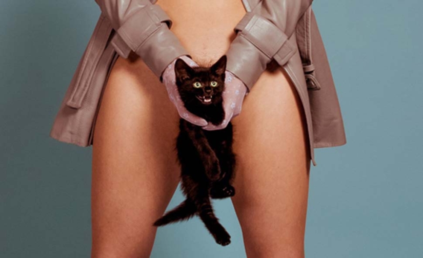 Hoja de parra: emojis en vivo en partes desnudas del cuerpo cubiertas por la censura Hoja de parra: emojis en vivo en partes desnudas del cuerpo cubiertas por la censura