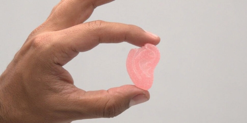 "Holy Ears", o cómo dos antiguos rivales comenzaron a hacer mermelada con cannabis "Holy Ears", o cómo dos antiguos rivales comenzaron a hacer mermelada con cannabis